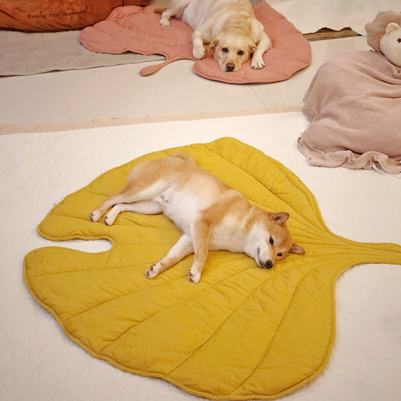 lickmats for anxious pet