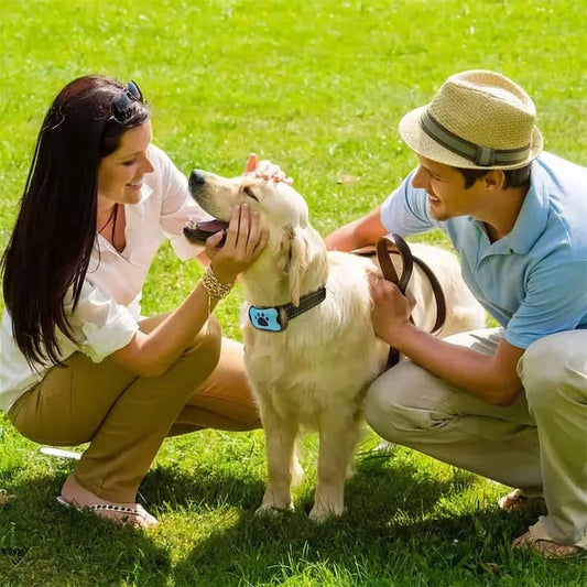 Dog GPS tracker on a Golden Retriever’s collar while outdoors with owners.