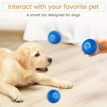 Blue And Orange Pet Bouncing Ball