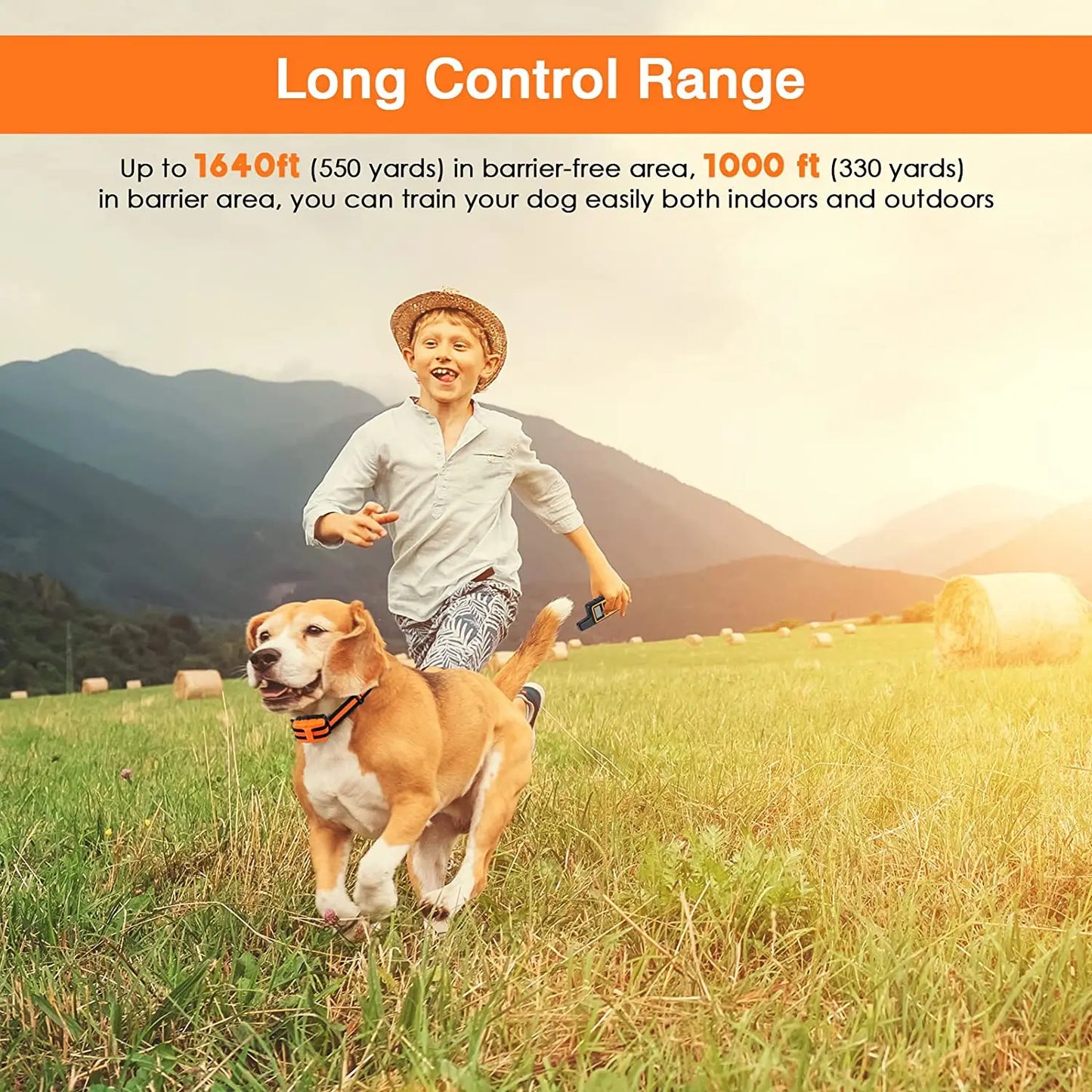 Rechargeable Dog Training Collar with Remote Control for Small Medium Large Dogs