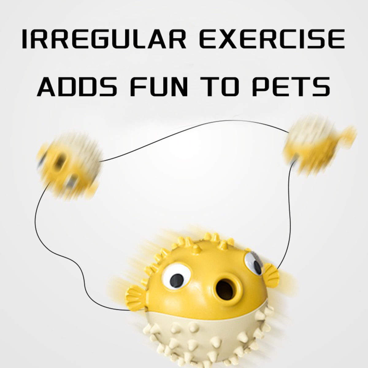 Dog Squeaky Toys