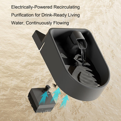 2 In 1 Automatic Cat Feeder Water Dispenser