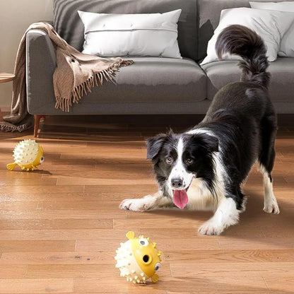 Dog Squeaky Toys