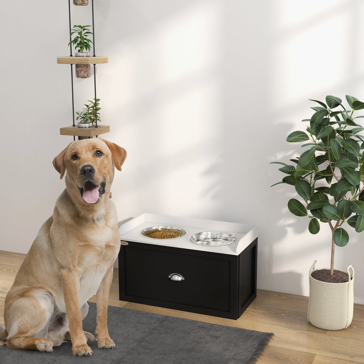 Pet Feeding Station Dish Bowl Set