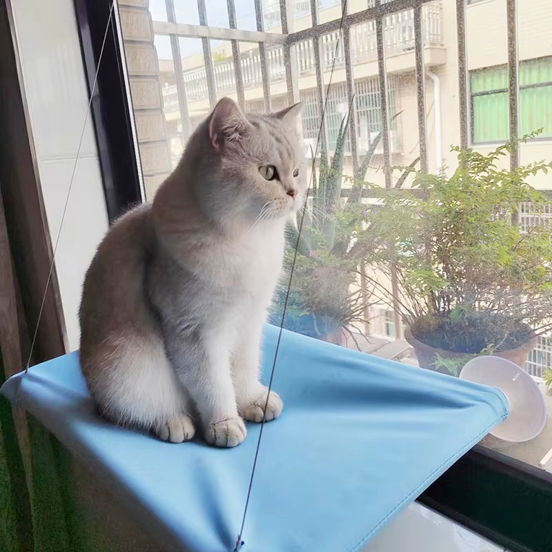 Fold-Up Cat Window Hammock | Elevated Window Perch Bed for Indoor Cats