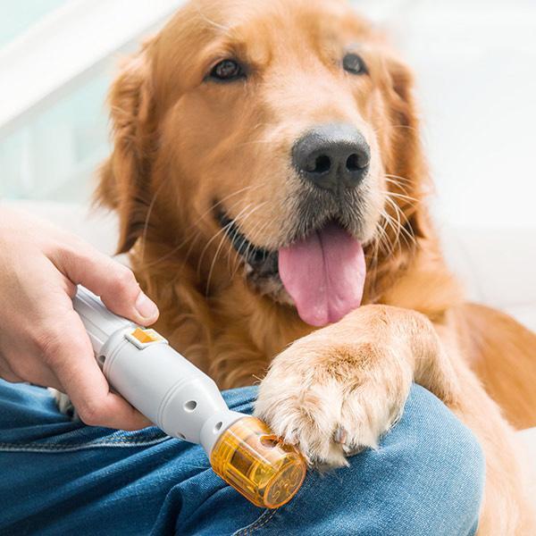 New Professional Dog Nail Clippers
