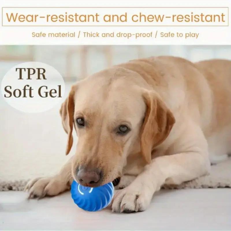 Blue And Orange Pet Bouncing Ball