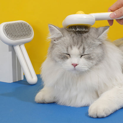 Cat Massage Removes Loose Grooming Brush