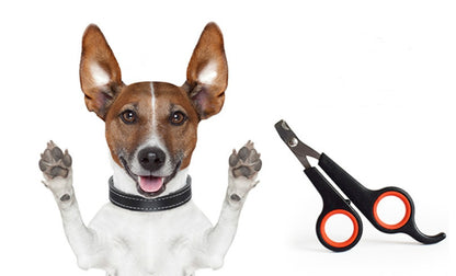 Dog Nail Clipper