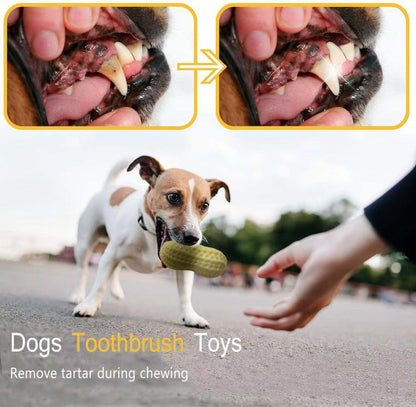 New Funny Pet Squeaky Toys