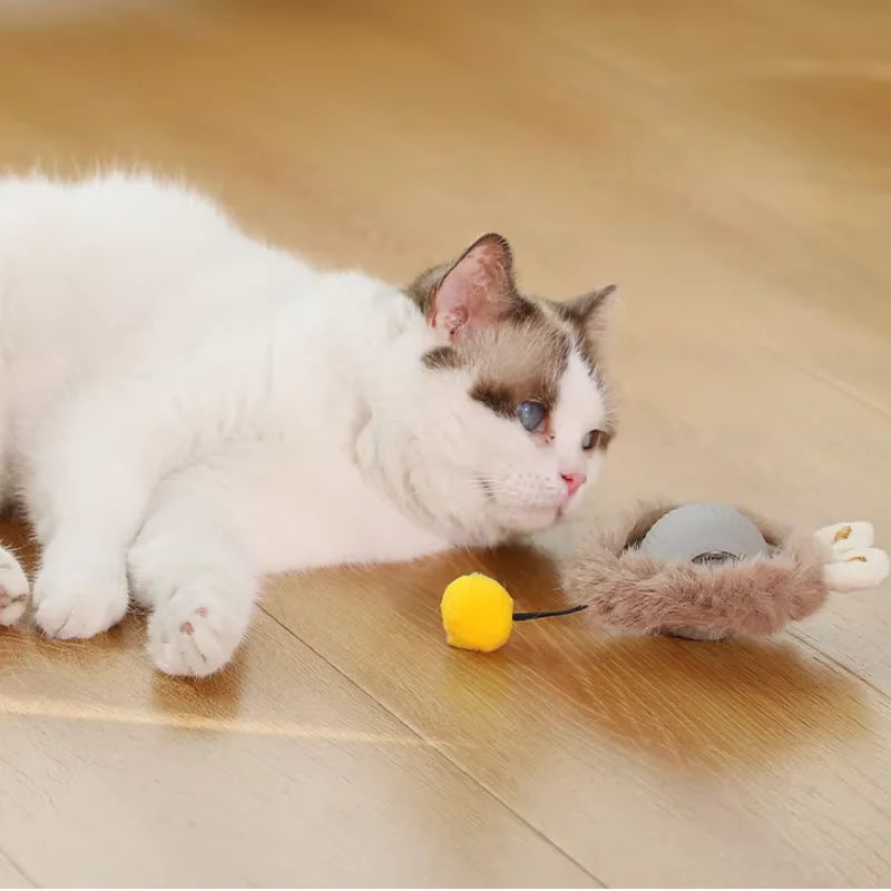 Cat Chase & Hunt Toy Balls (Pack of 2)