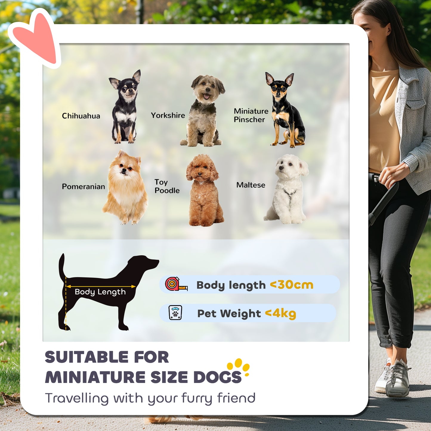 New Foldable Dog Stroller
