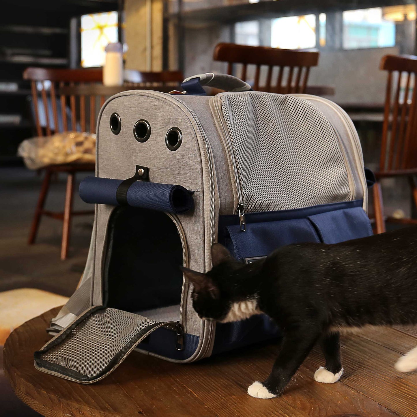 New Stylish And Spacious Foldable Soft Pet Carrier
