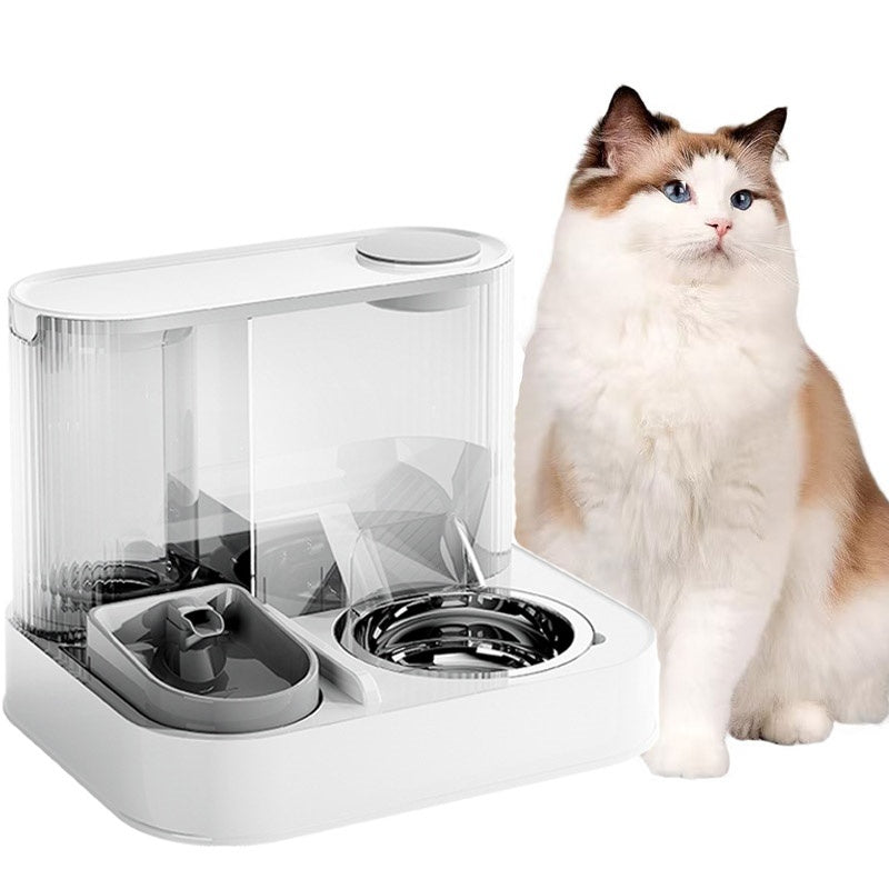 2 In 1 Automatic Cat Feeder Water Dispenser