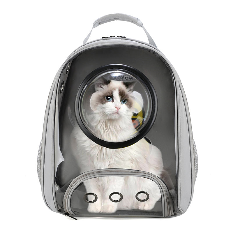 New Fashion Transparent Pet Bag