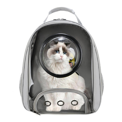 New Fashion Transparent Pet Bag