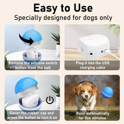 Smart Interactive Dog Toys