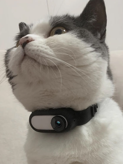 Portable USB Rechargeable Pet Collar Camera – HD Recording for Cats & Dogs