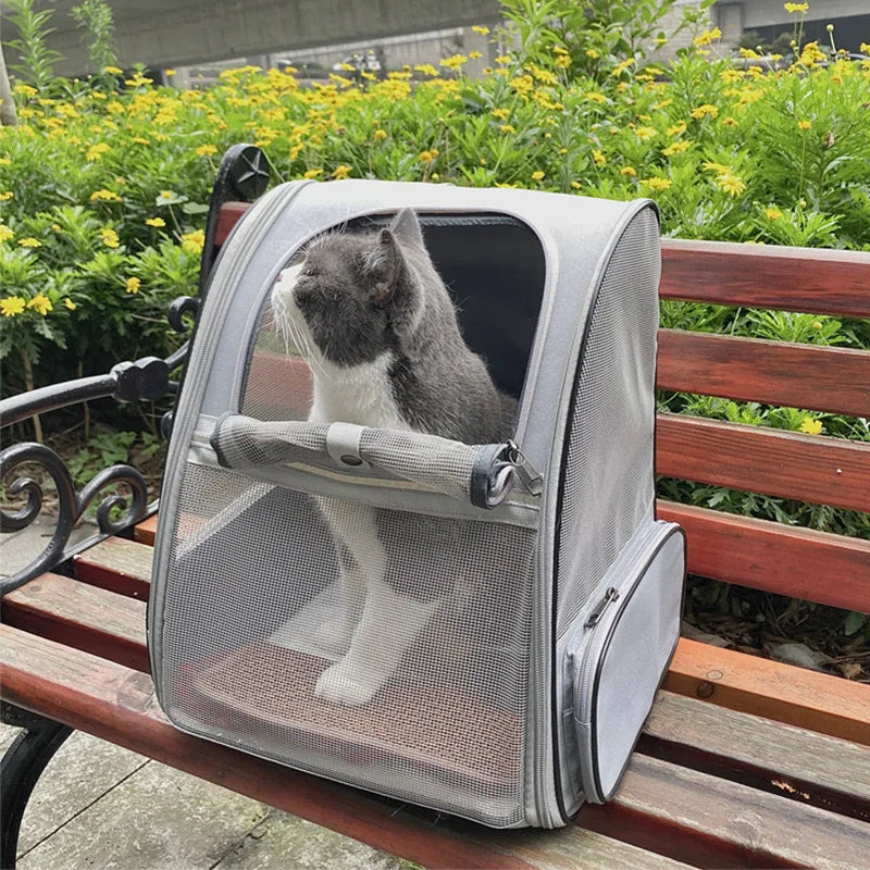 Pet Travel Backpack Carrier | Spacious Transparent Cat Backpack with Ventilation