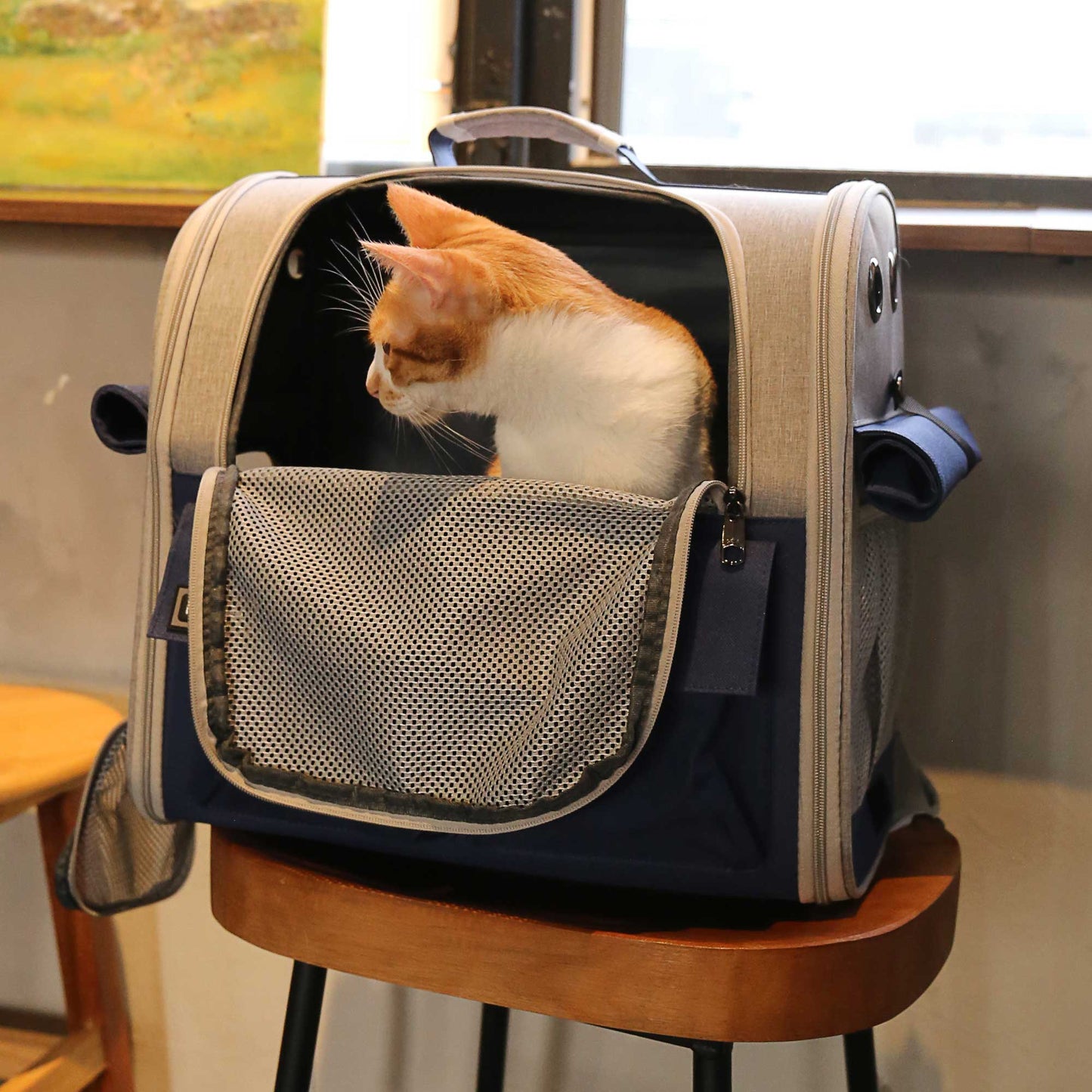 New Stylish And Spacious Foldable Soft Pet Carrier