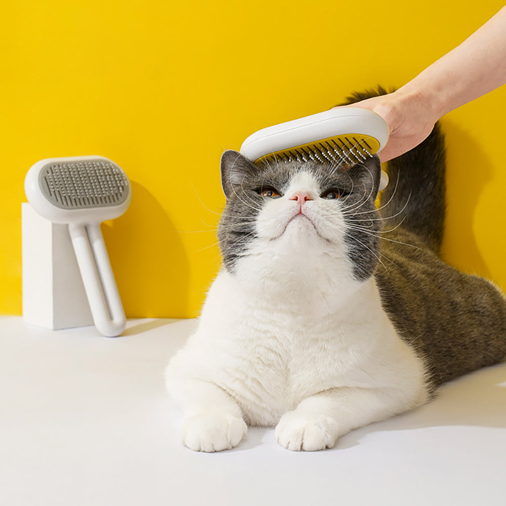 Cat Massage Removes Loose Grooming Brush