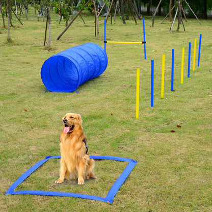 Backyard Competitive Dog Agility Training Kit