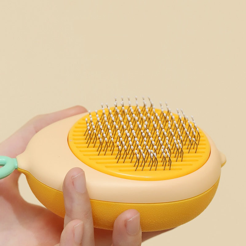 Cat Portable Massage Brush