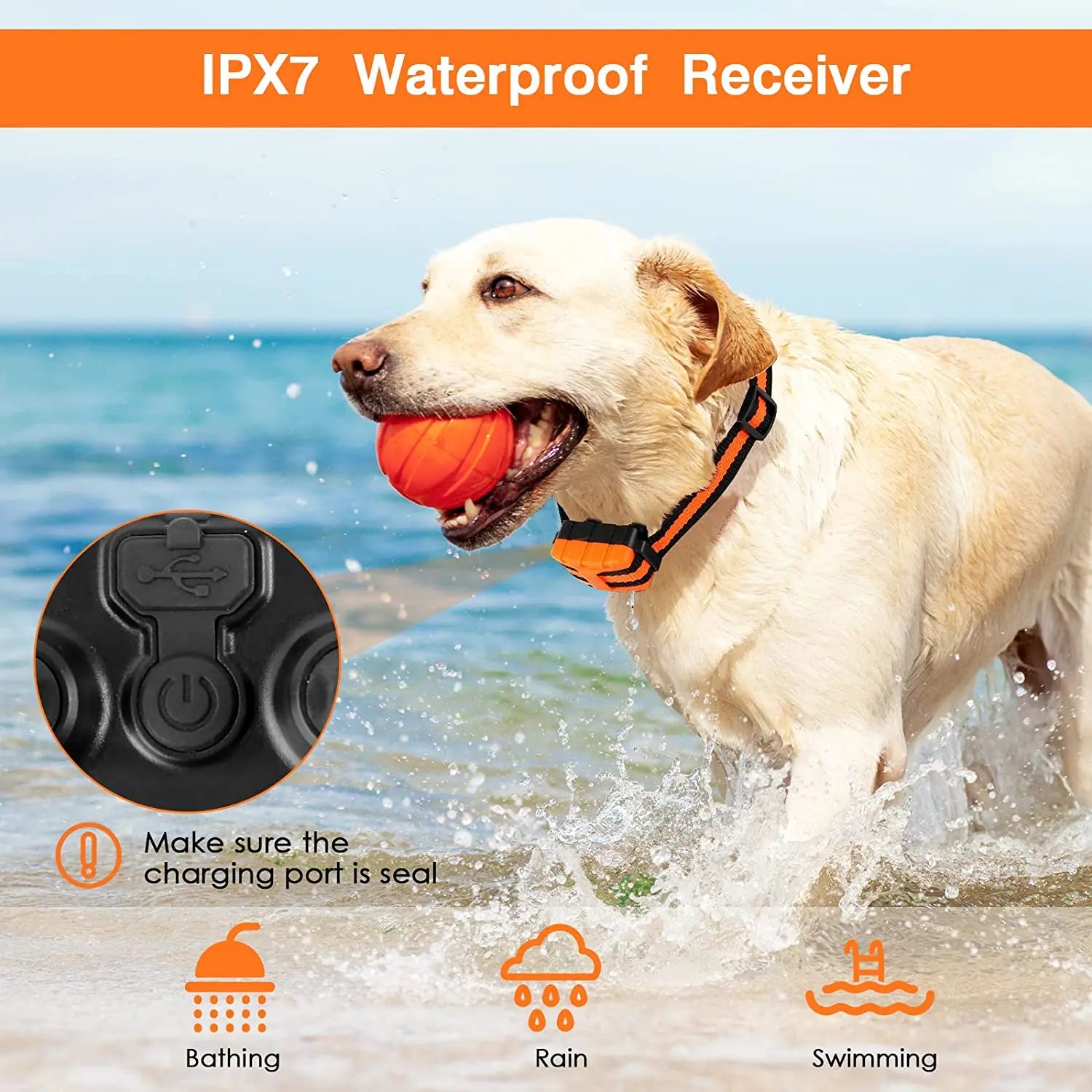 Rechargeable Dog Training Collar with Remote Control for Small Medium Large Dogs