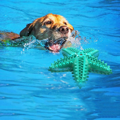 Dogs Tooth Cleaning Chew Funny Interactive Training Starfish Toy