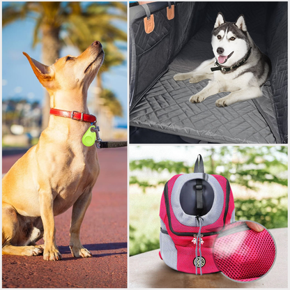 Travel Essentials Bundle