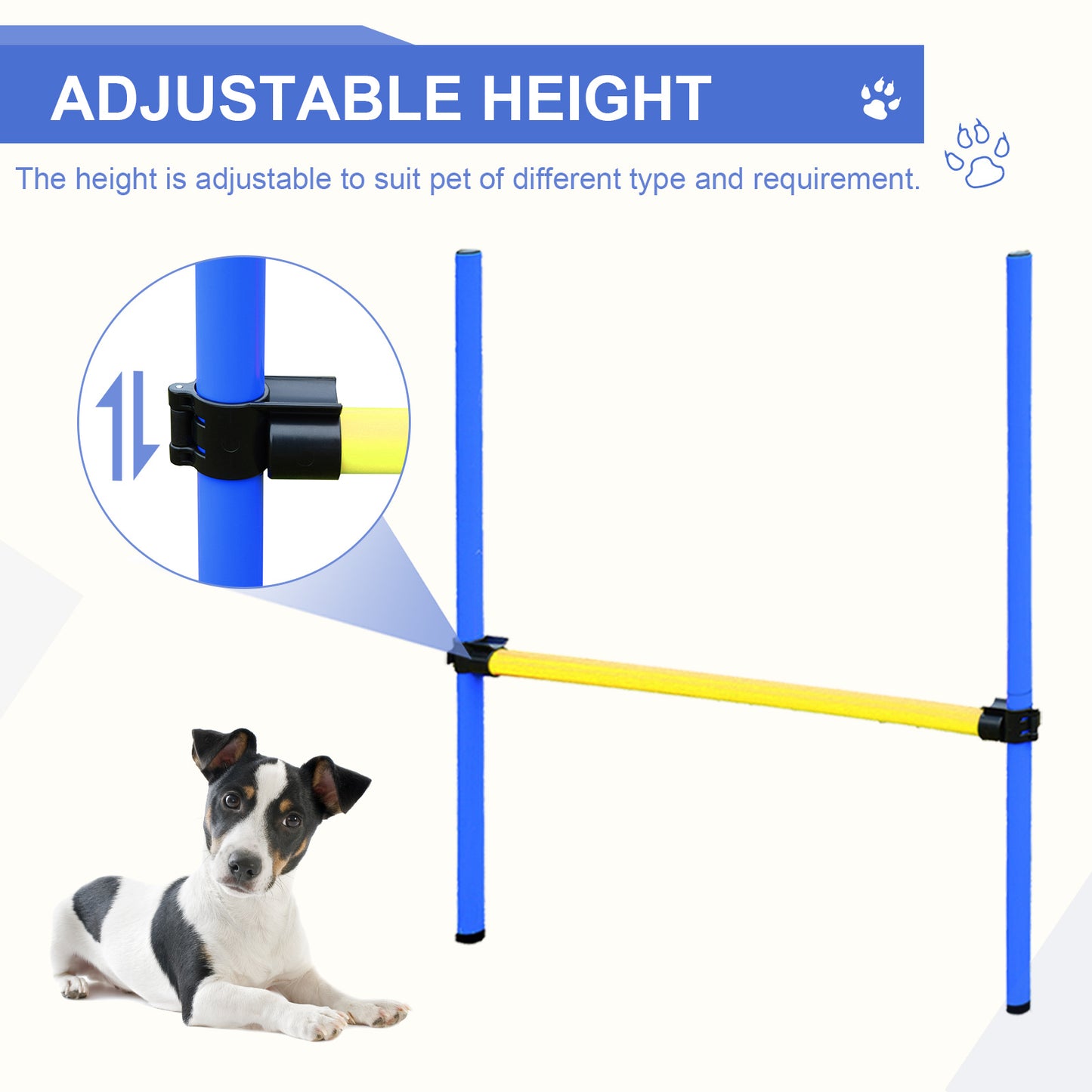Backyard Competitive Dog Agility Training Kit