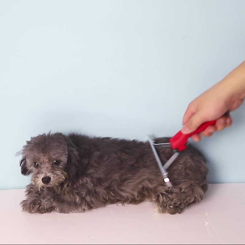 Pet Extra-Large Rake Comb