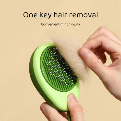 Cat Portable Massage Brush