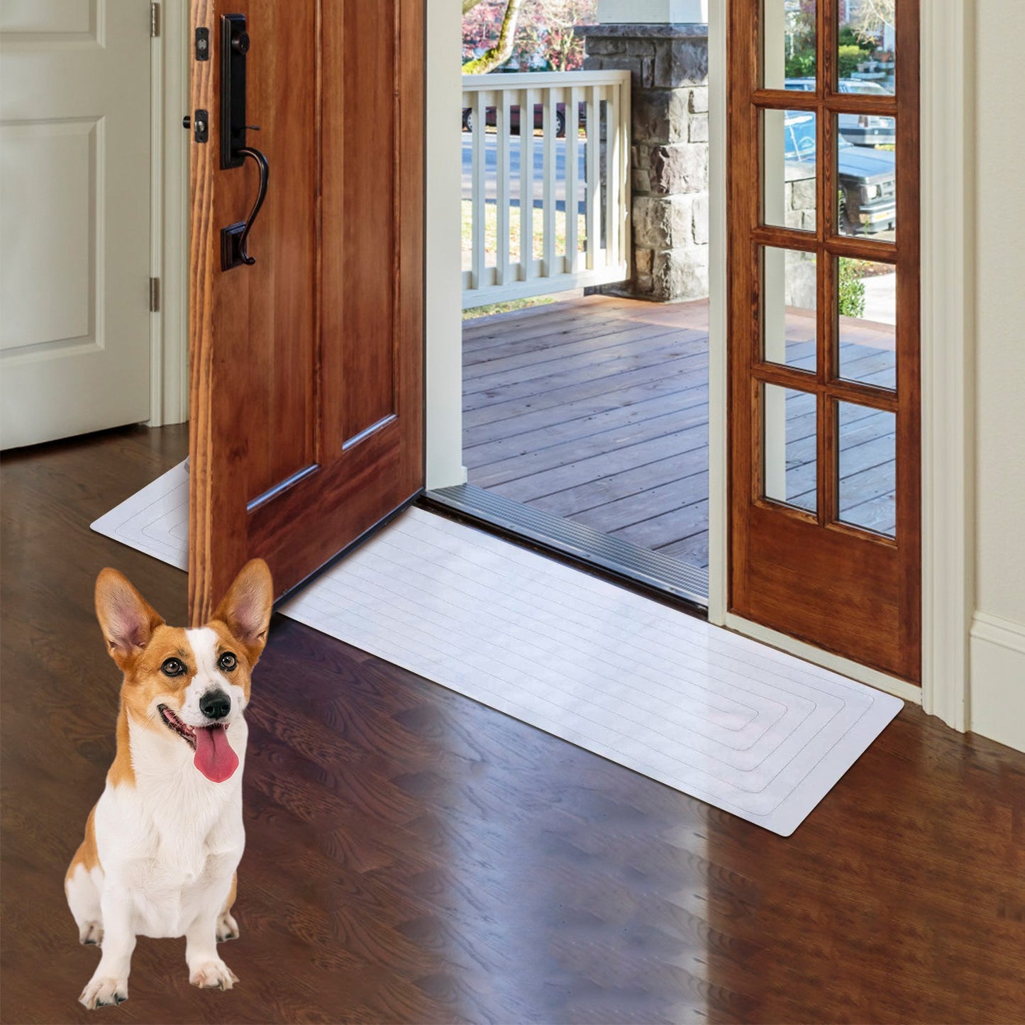 1Pc Electronic Pet Training Mat