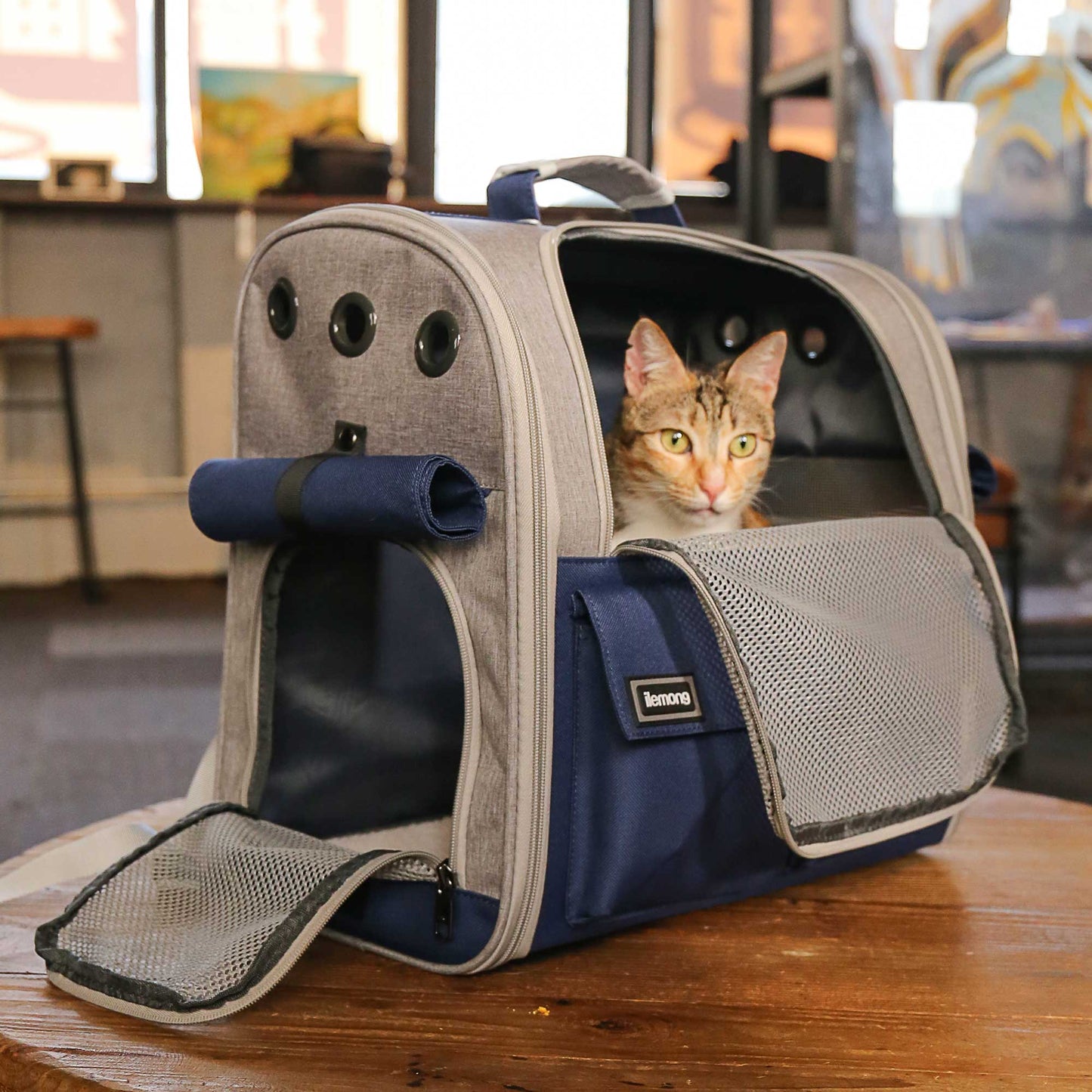 New Stylish And Spacious Foldable Soft Pet Carrier