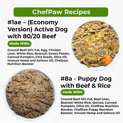 Smart Pet Food Maker for Dogs & Cats | Easy Homemade Meal Prep