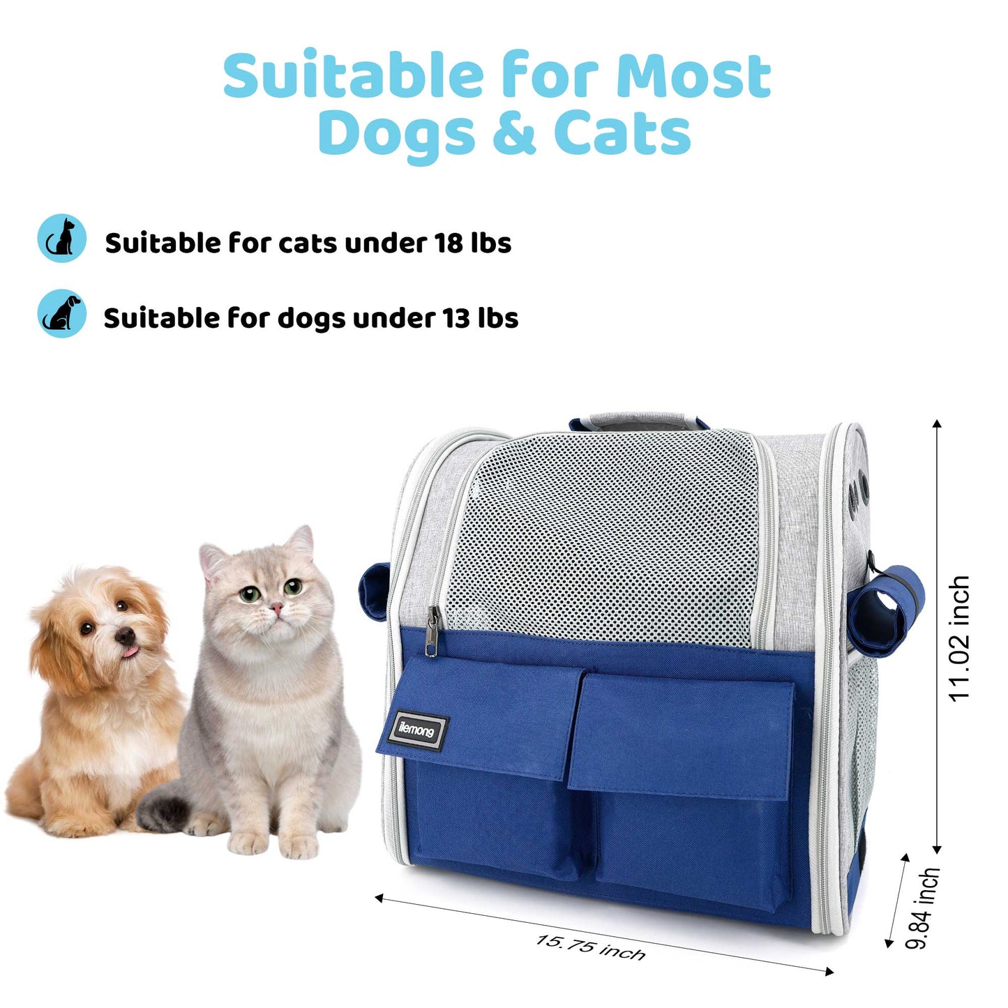 New Stylish And Spacious Foldable Soft Pet Carrier