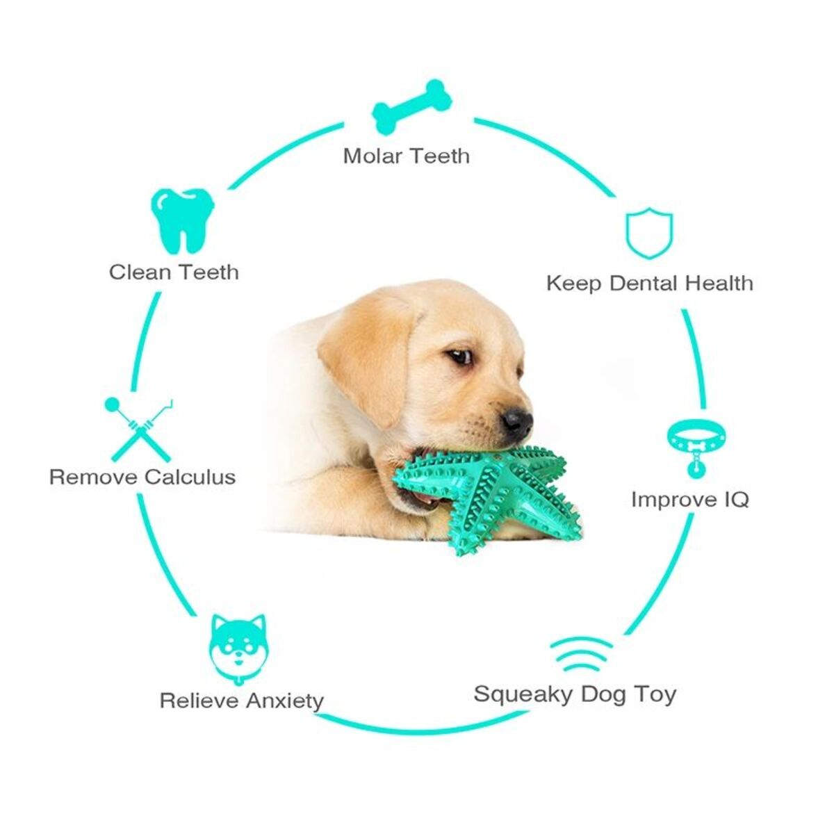 Dogs Tooth Cleaning Chew Funny Interactive Training Starfish Toy
