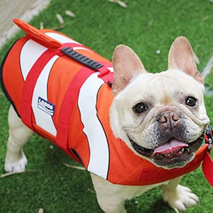 Dog wearing orange clownfish swimming life jacket