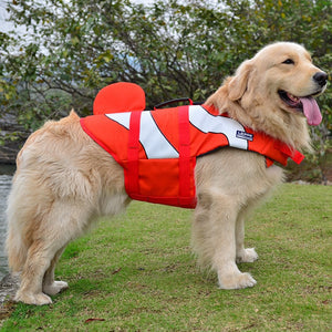 Dog life jacket for swimming and water activities
