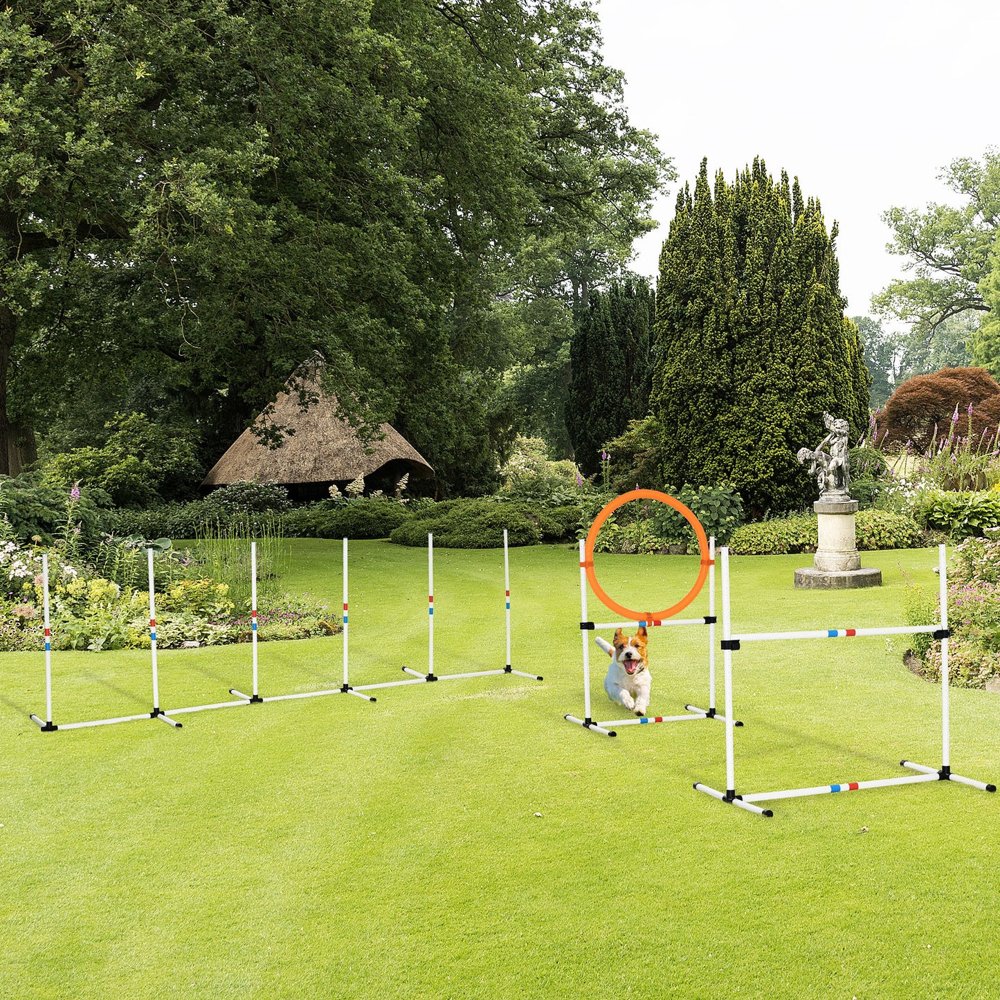 Backyard Competitive Dog Agility Training Kit