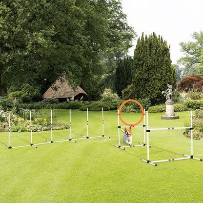 Backyard Competitive Dog Agility Training Kit