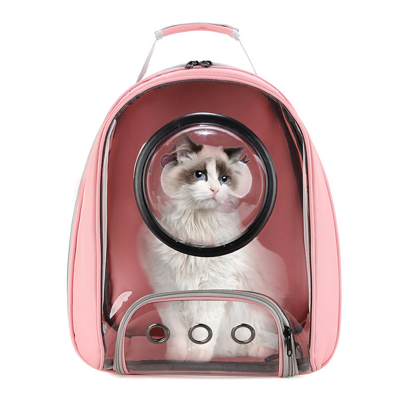 New Fashion Transparent Pet Bag
