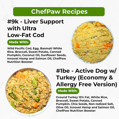 Smart Pet Food Maker for Dogs & Cats | Easy Homemade Meal Prep
