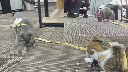 Portable USB Rechargeable Pet Collar Camera – HD Recording for Cats & Dogs