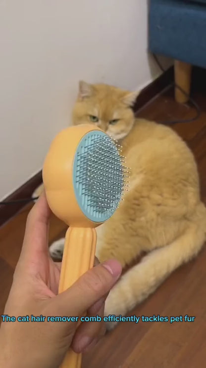 Pet Self Cleaning Brush