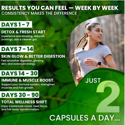 PURE MORINGA OLEIFERA CAPSULES